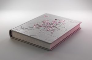 זכיינות וסניפים - כאן תמצאו מדריכים וכלים מעשיים להרחבת הפעילות העסק...