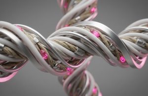 תרבות ארגונית - כאן תמצאו כלים ומאמרים לבניית סביבת עבודה פרודוקטי...